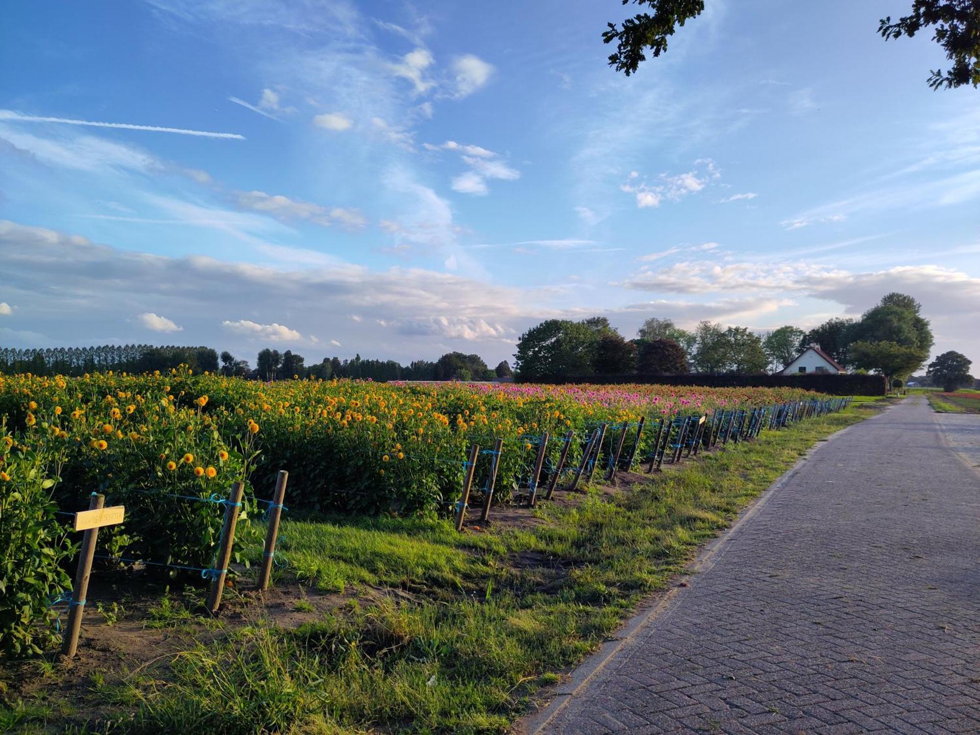Bed and Breakfast 'T Voske Zundert Exteriér fotografie